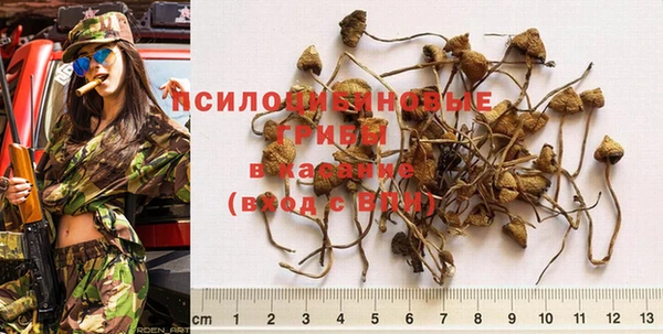 ГАЛЛЮЦИНОГЕННЫЕ ГРИБЫ Балабаново