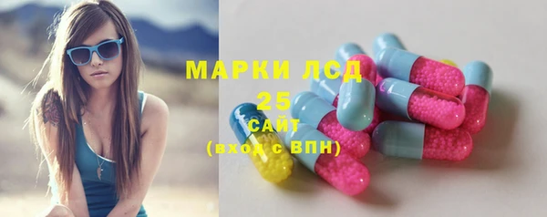 ГАЛЛЮЦИНОГЕННЫЕ ГРИБЫ Балабаново